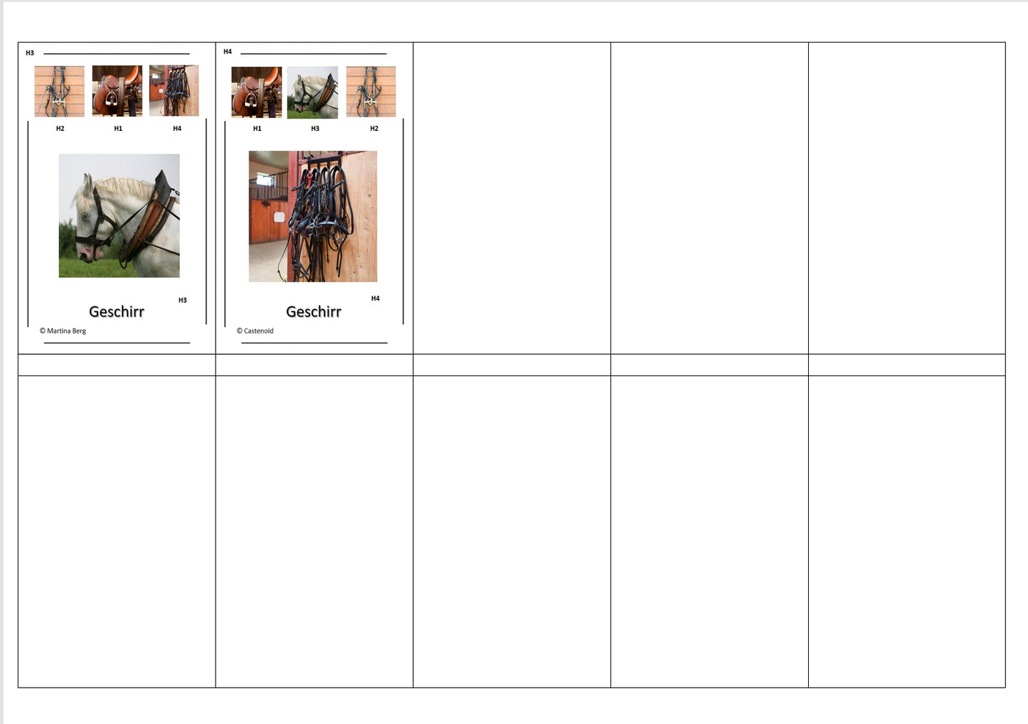 Quartett des Wissens – Welt der Pferde | Lernspiel mit 32 Karten aus stabilem 250g Papier (90 × 57 mm)