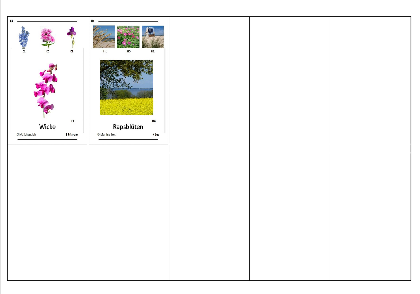 Quartett des Wissens – Welt der Pflanzen | Lernspiel mit 32 stabilen Wissenskarten (90 × 57 mm) aus 250 g Papier