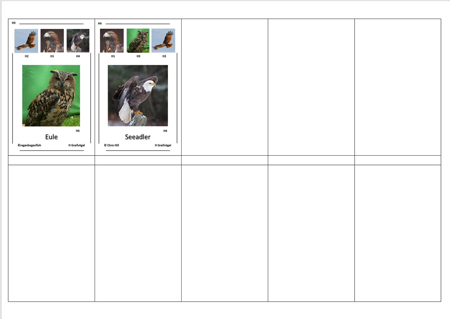 Quartett des Wissens – Welt der Vögel | Lernspiel mit 32 Karten aus stabilem 250g Papier (90 × 57 mm)