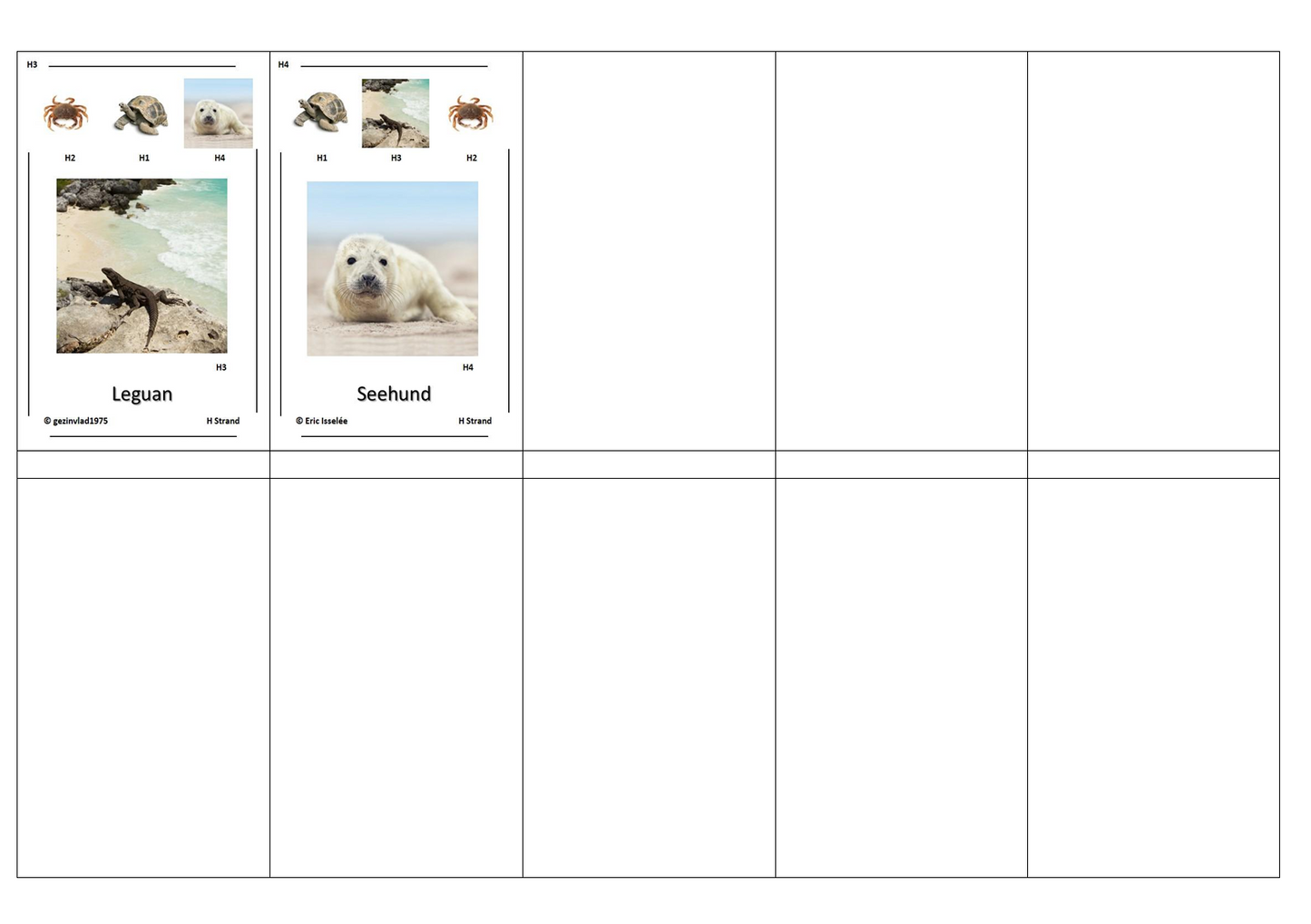 Quartett des Wissens – Welt der Tiere | Lernspiel mit 32 Karten aus stabilem 250g Papier (90 × 57 mm)