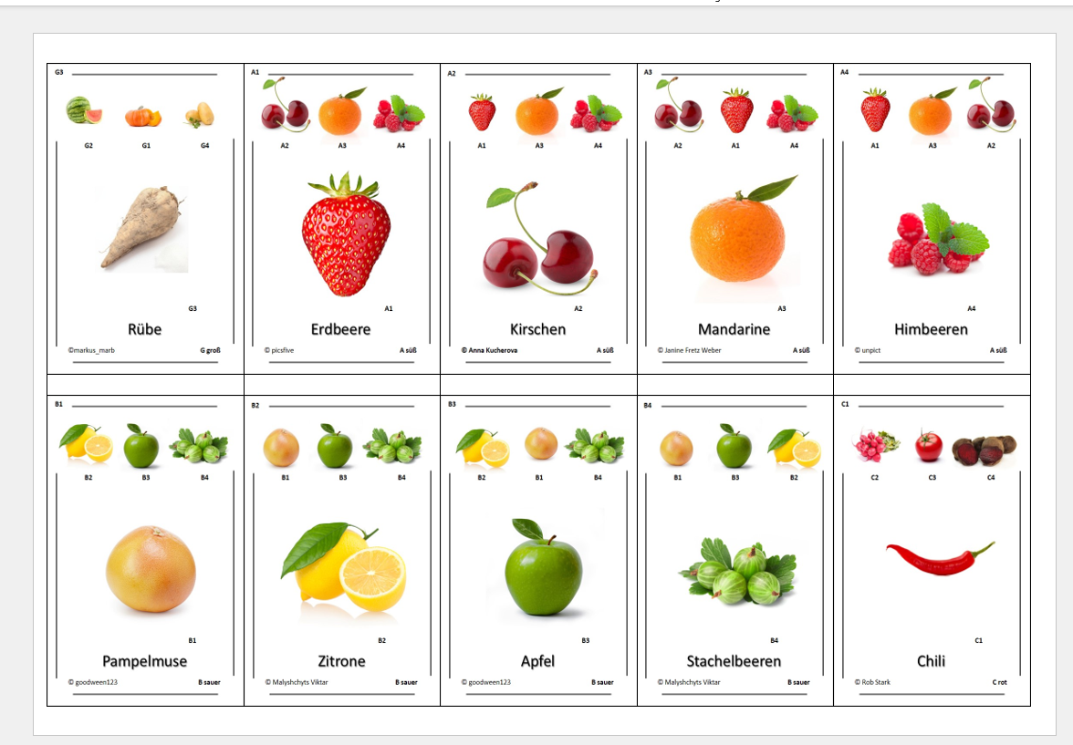 Quartett des Wissens – Heimische Früchte | Lernspiel mit 32 Karten aus stabilem 250g Papier (90 × 57 mm)