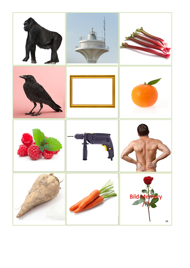 Laut-Bild-Memory – Laut R | Sprachförderung & Aphasie-Training mit 23 Bildpaare