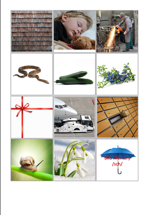 Laut-Bild-Memory – Laut SCH | Sprachförderung & Aphasie-Training mit 23 Bildpaare