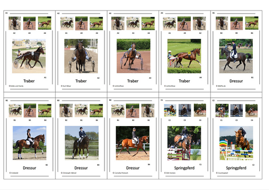 Quartett des Wissens – Welt der Pferde | Lernspiel mit 32 Karten aus stabilem 250g Papier (90 × 57 mm)