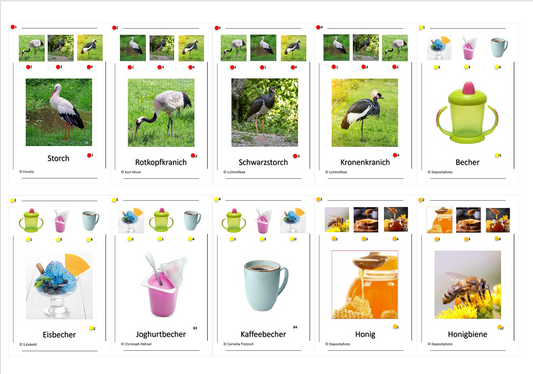 Laut-Quartett – Laut /ch1/ | Lernspiel mit 32 Karten aus stabilem 250g Papier (90 × 57 mm)