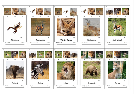 Quartett des Wissens – Welt der Tiere | Lernspiel mit 32 Karten aus stabilem 250g Papier (90 × 57 mm)