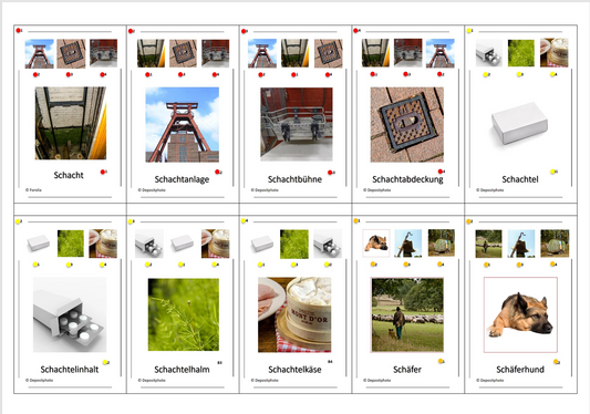 Laut-Quartett – Konsonantenverbindung „sch“ im Anlaut | Lernspiel mit 32 Karten aus stabilem 250g Papier (90 × 57 mm)