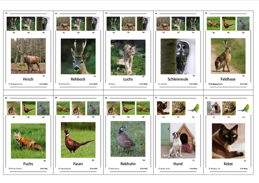 Quartett des Wissens – Welt der Heimischen Tiere | Lernspiel mit 32 Karten aus stabilem 250g Papier (90 × 57 mm)