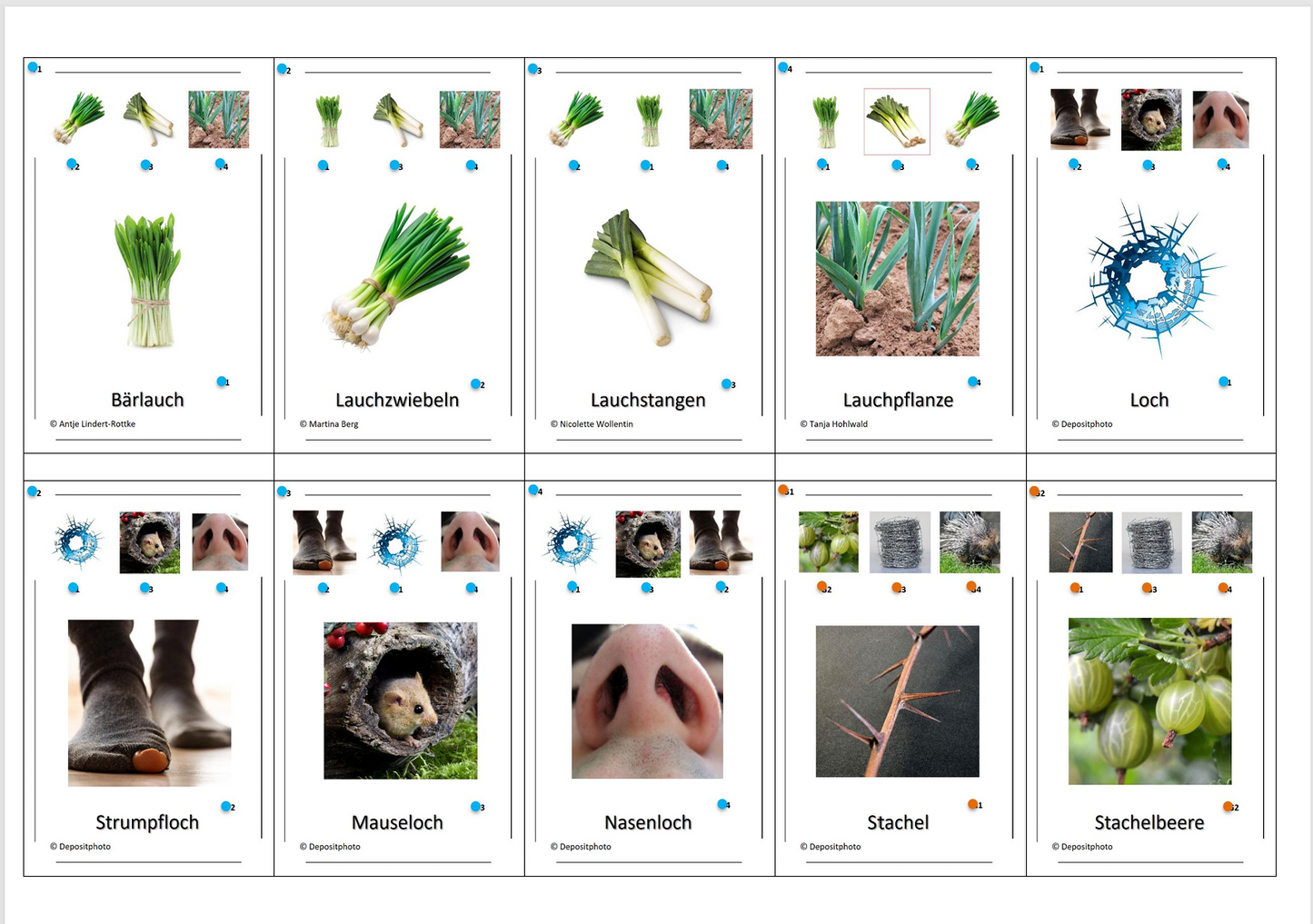 Laut-Quartett – Laut /ch2/ | Lernspiel mit 32 Karten aus stabilem 250g Papier (90 × 57 mm)