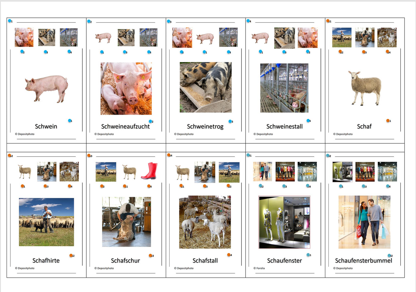 Laut-Quartett – Konsonantenverbindung „sch“ im Anlaut | Lernspiel mit 32 Karten aus stabilem 250g Papier (90 × 57 mm)