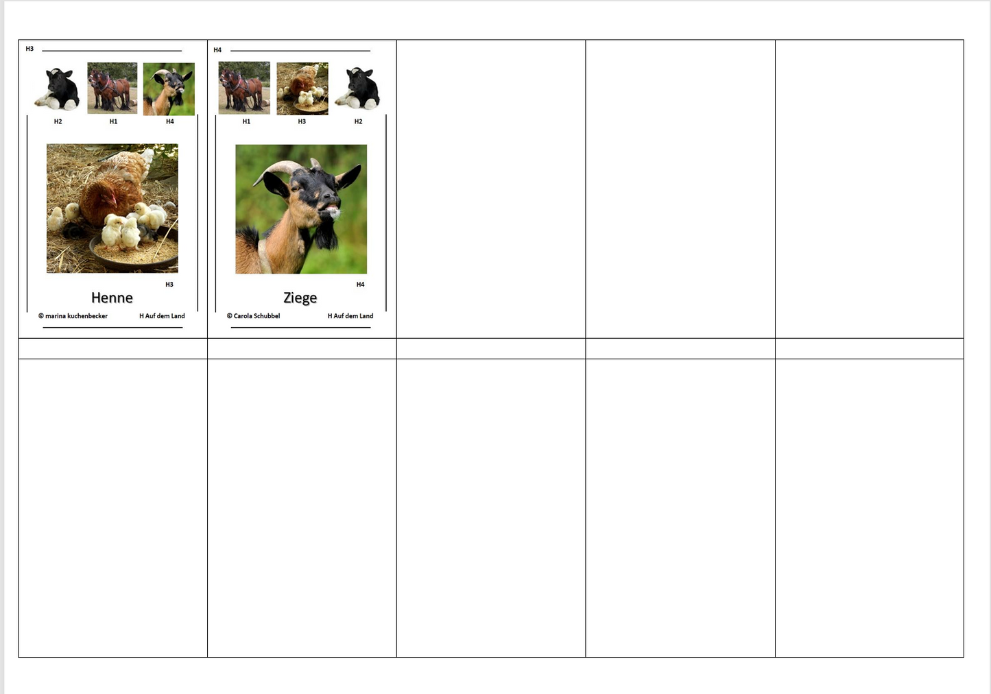 Quartett des Wissens – Welt der Heimischen Tiere | Lernspiel mit 32 Karten aus stabilem 250g Papier (90 × 57 mm)