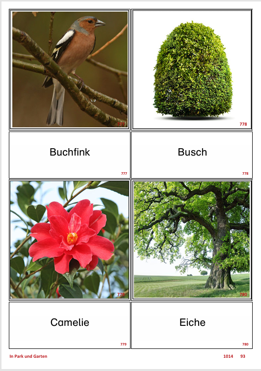 ATLANTIS – [In Park und Garten] | Sprachförderung & Aphasietraining mit 60 Karten