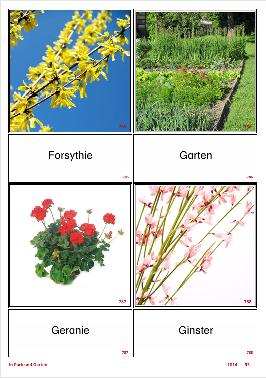 ATLANTIS – [In Park und Garten] | Sprachförderung & Aphasietraining mit 60 Karten