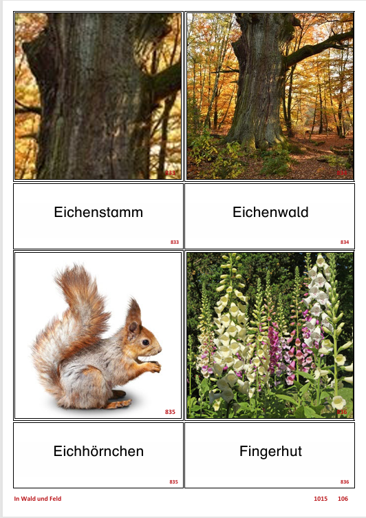 ATLANTIS – [In Wald und Feld] | Sprachförderung & Aphasietraining mit 20 Karten