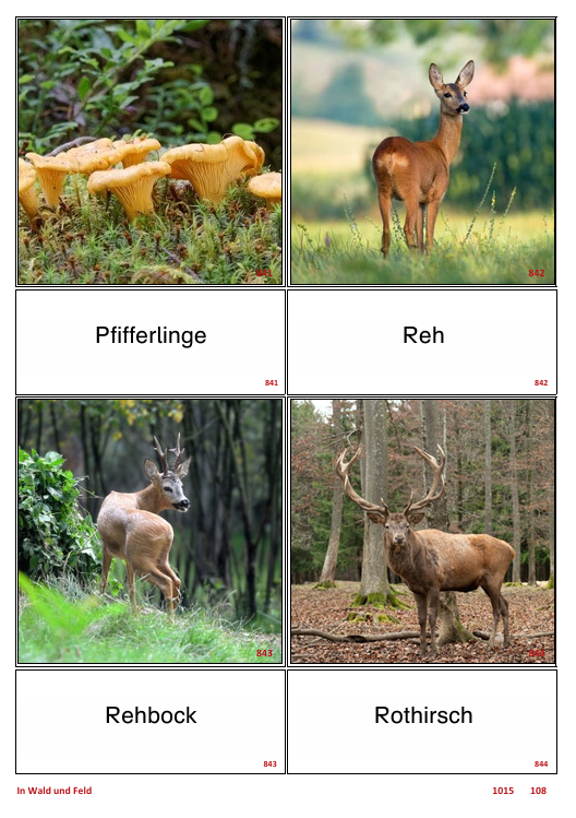 ATLANTIS – [In Wald und Feld] | Sprachförderung & Aphasietraining mit 20 Karten