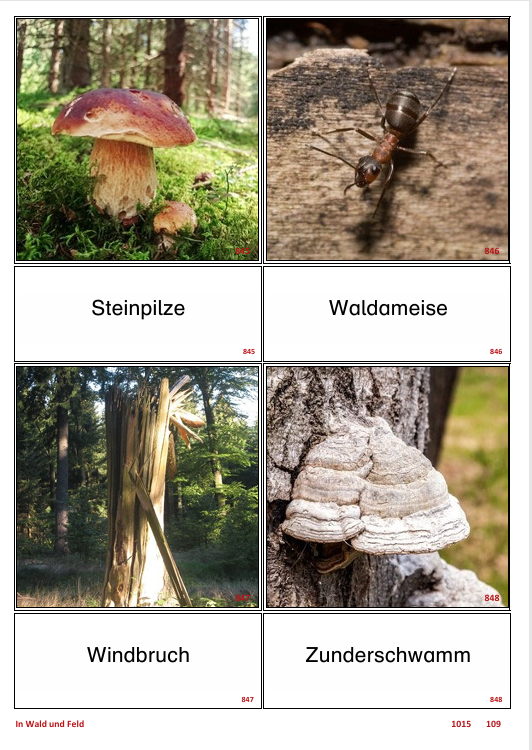 ATLANTIS – [In Wald und Feld] | Sprachförderung & Aphasietraining mit 20 Karten