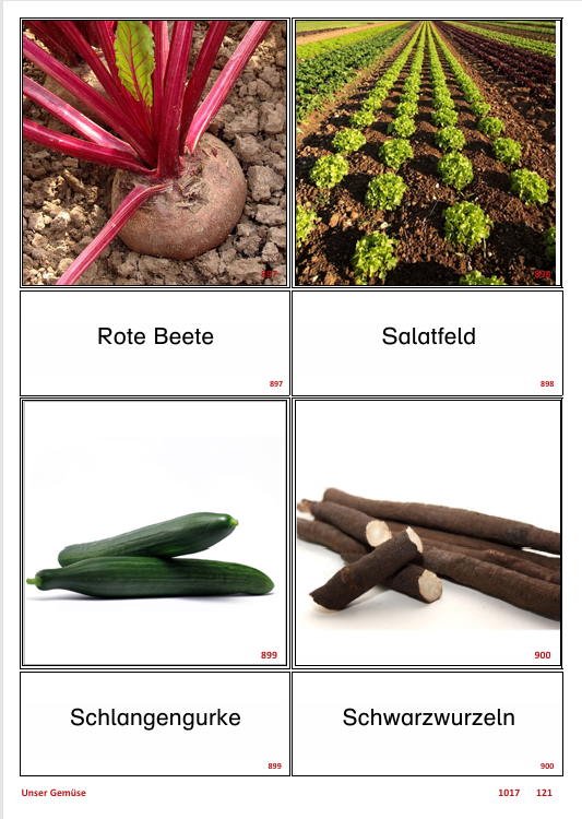 ATLANTIS – [Unser Gemüse] | Sprachförderung & Aphasietraining mit 32 Karten