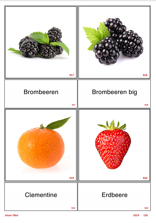 ATLANTIS – [Unser Obst] | Sprachförderung & Aphasietraining mit 36 Karten