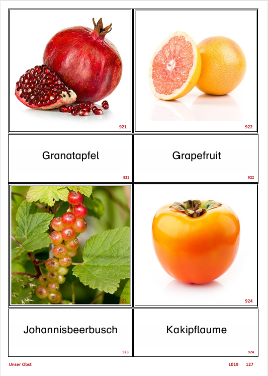 ATLANTIS – [Unser Obst] | Sprachförderung & Aphasietraining mit 36 Karten
