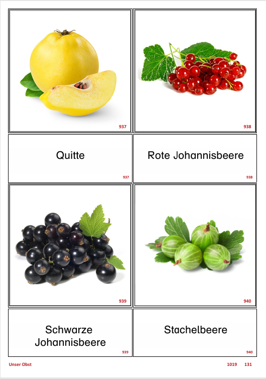 ATLANTIS – [Unser Obst] | Sprachförderung & Aphasietraining mit 36 Karten