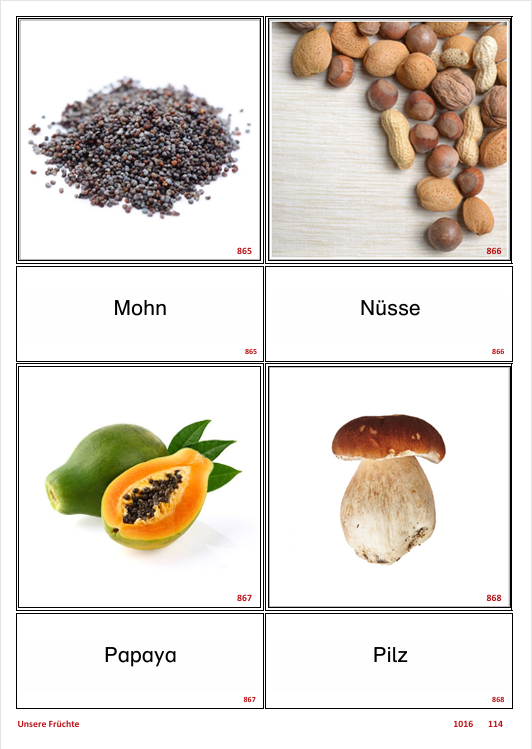 ATLANTIS – [Unsere Früchte] | Sprachförderung & Aphasietraining mit 24 Karten