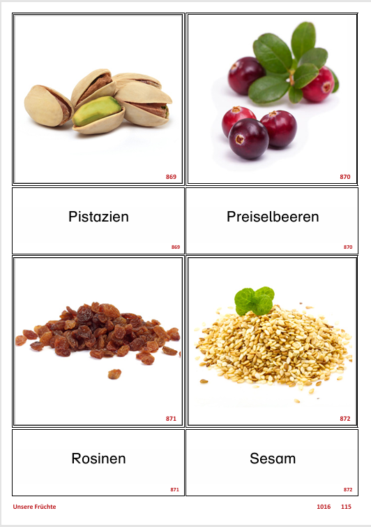 ATLANTIS – [Unsere Früchte] | Sprachförderung & Aphasietraining mit 24 Karten