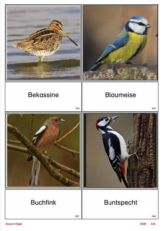 ATLANTIS – [Unsere Vögel] | Sprachförderung & Aphasietraining mit 39 Karten