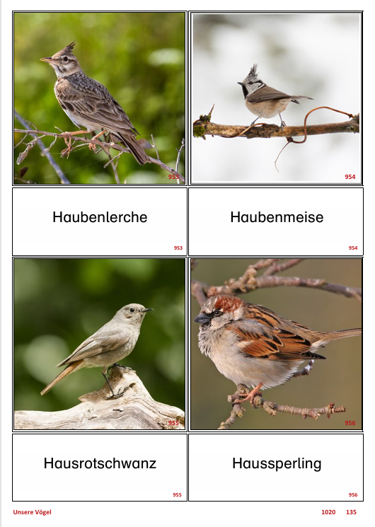 ATLANTIS – [Unsere Vögel] | Sprachförderung & Aphasietraining mit 39 Karten