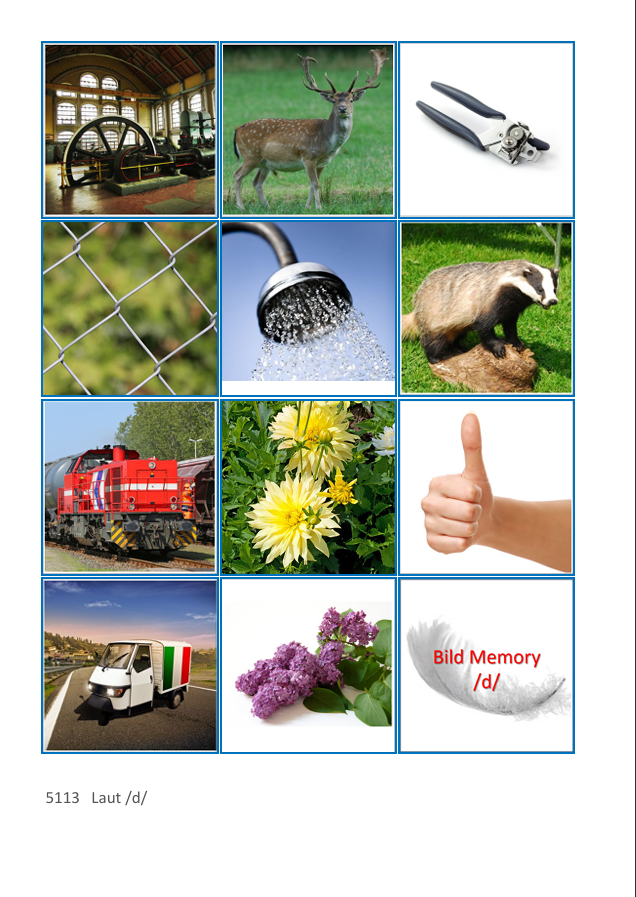 Laut-Bild-Memory – Laut D | Sprachförderung & Aphasie-Training mit 23 Bildpaare