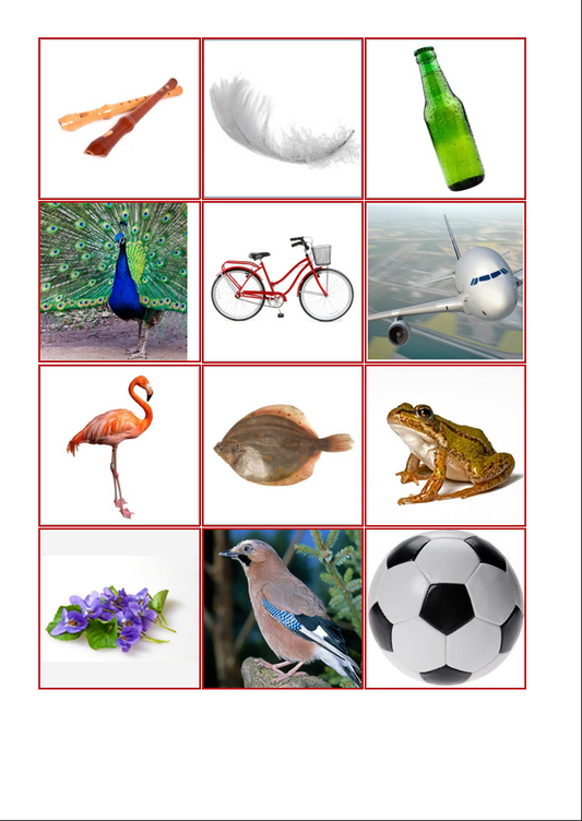 Laut-Bild-Memory – LAUT F | Sprachförderung & Aphasie-Training mit 23 Bildpaare