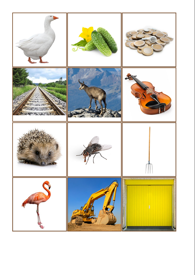 Laut-Bild-Memory – Laut G | Sprachförderung & Aphasie-Training mit 23 Bildpaare