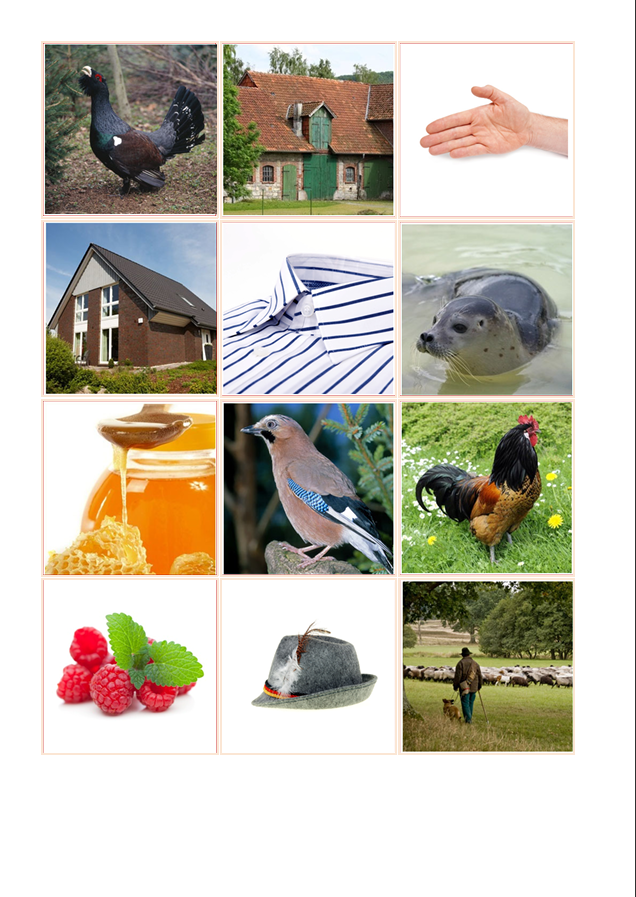 Laut-Bild-Memory – Laut H | Sprachförderung & Aphasie-Training mit 23 Bildpaare