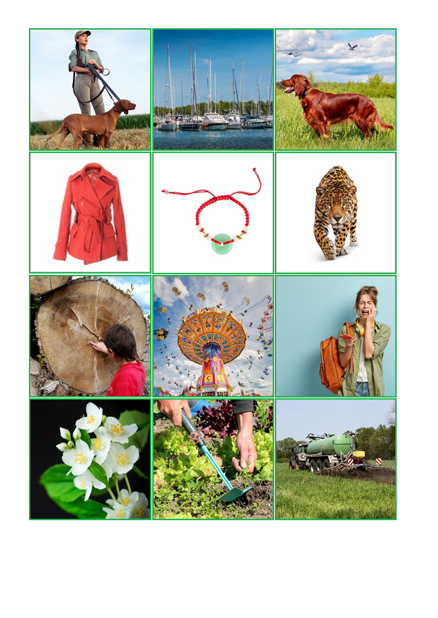 Laut-Bild-Memory – Laut J | Sprachförderung & Aphasie-Training mit 23 Bildpaare