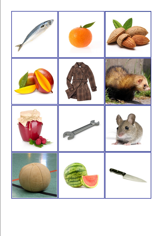 Laut-Bild-Memory – Laut M | Sprachförderung & Aphasie-Training mit 23 Bildpaare