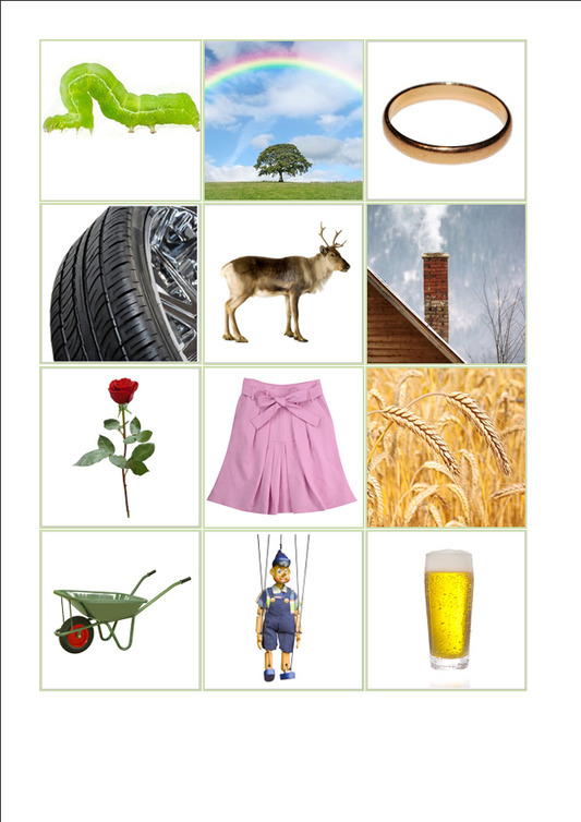 Laut-Bild-Memory – Laut R | Sprachförderung & Aphasie-Training mit 23 Bildpaare