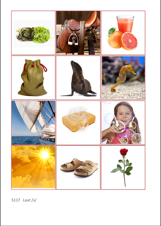 Laut-Bild-Memory – Laut S | Sprachförderung & Aphasie-Training mit 23 Bildpaare