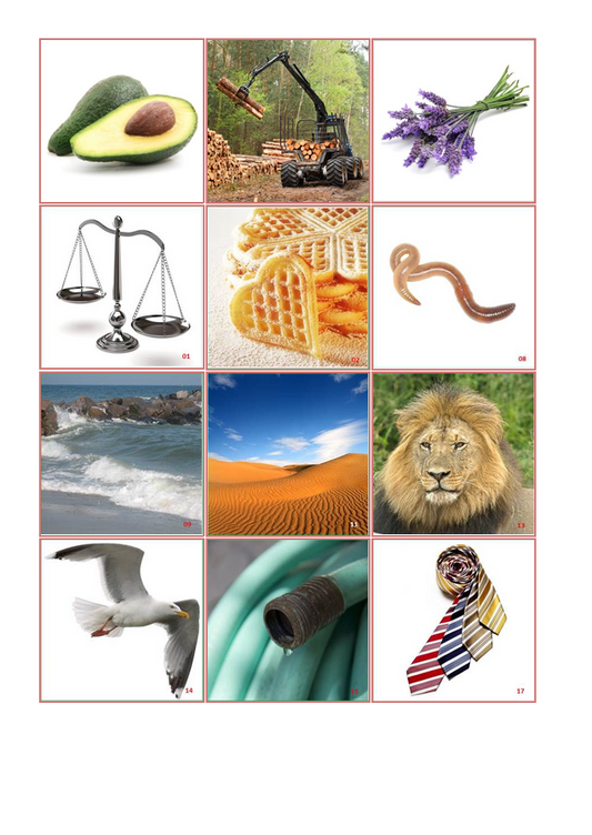 Laut-Bild-Memory – Laut W | Sprachförderung & Aphasie-Training mit 23 Bildpaare